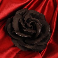 /album/kepek-/fekete-rozsa-1-543429-44038-jpg/